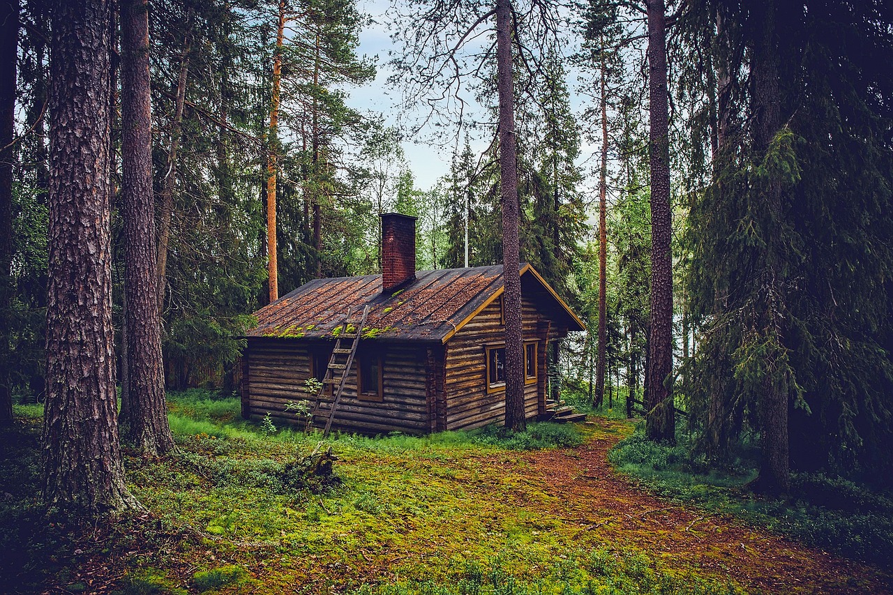 Balancing Home Security and Privacy